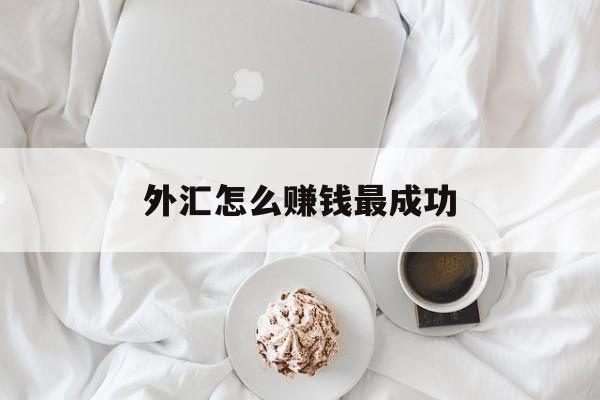 外汇怎么赚钱最成功(外汇是怎样赚钱的举例子)