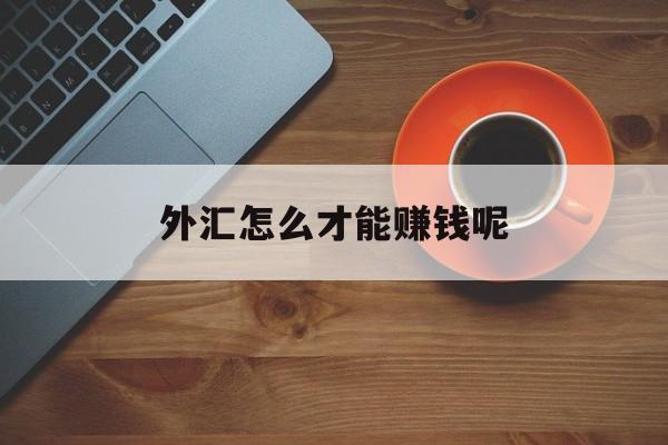 外汇怎么才能赚钱呢(外汇是怎么赚钱的?收益率高吗)