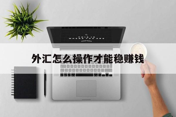 外汇怎么操作才能稳赚钱(外汇怎么操作才能稳赚钱呢)