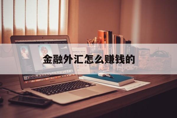 金融外汇怎么赚钱的(金融外汇的工作怎么样)