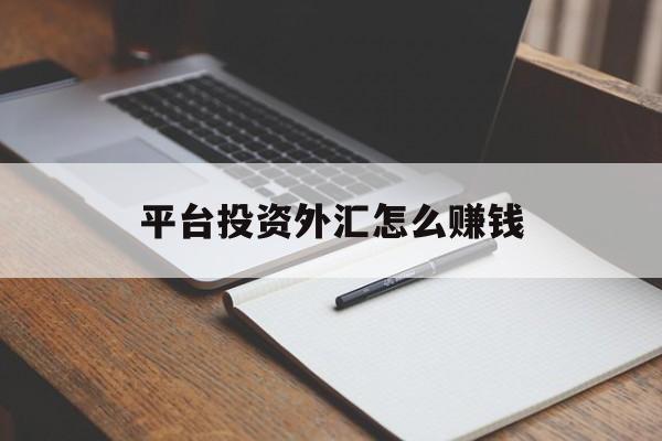 平台投资外汇怎么赚钱(平台投资外汇怎么赚钱的)