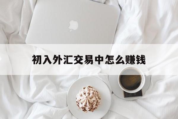初入外汇交易中怎么赚钱(新手外汇交易如何做能盈利) 初入外汇交易中怎么赚钱(新手外汇交易如何做能盈利)