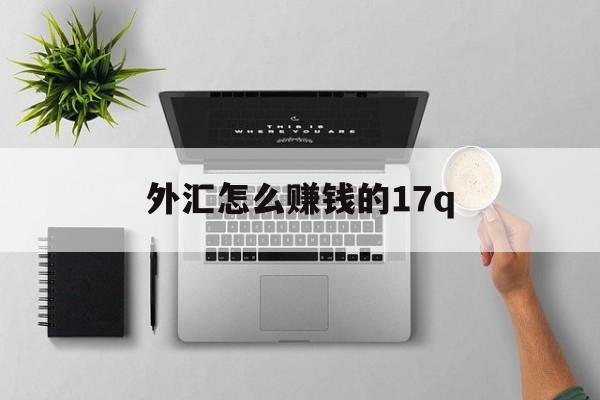 外汇怎么赚钱的17q(外汇是怎么赚钱的?收益率高吗)
